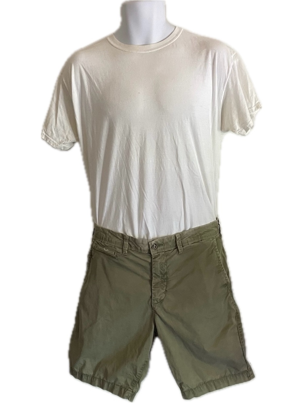 American Eagle Outfitters Olive Green Flat-Front Shorts